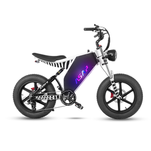 ASAP Zebra 1000W Fat Tire E-Bike