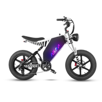 ASAP Zebra 1000W Fat Tire E-Bike