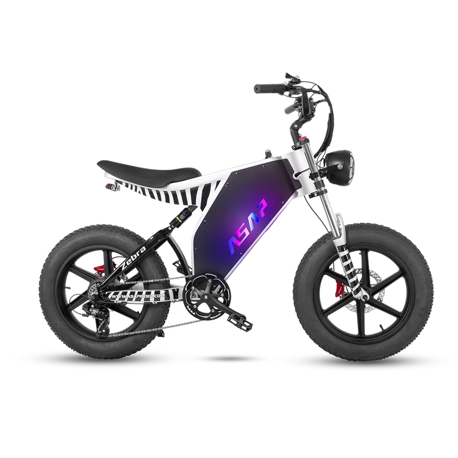 zebra electric bicycle Himiway D5 Pro ST 48V 500W 20 MPH Step-Thru 26" Fat Tire New eliminating up to 98% of common mechanical failures Himiway Zebra D5 - Premium
