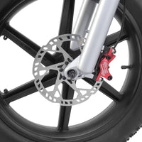 Zebra - ASAP® Rider 