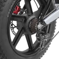 Zebra - ASAP® Rider 